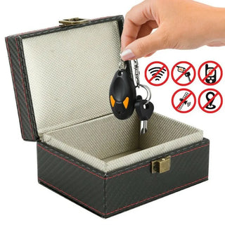 Anti-Theft Faraday Safety Box